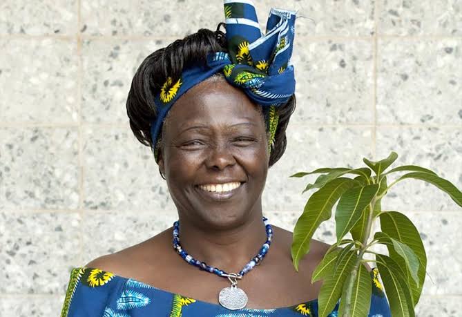 Professor Wangari Maathai